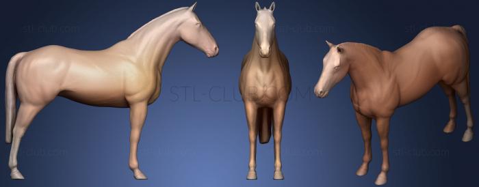 3D model Horse (STL)